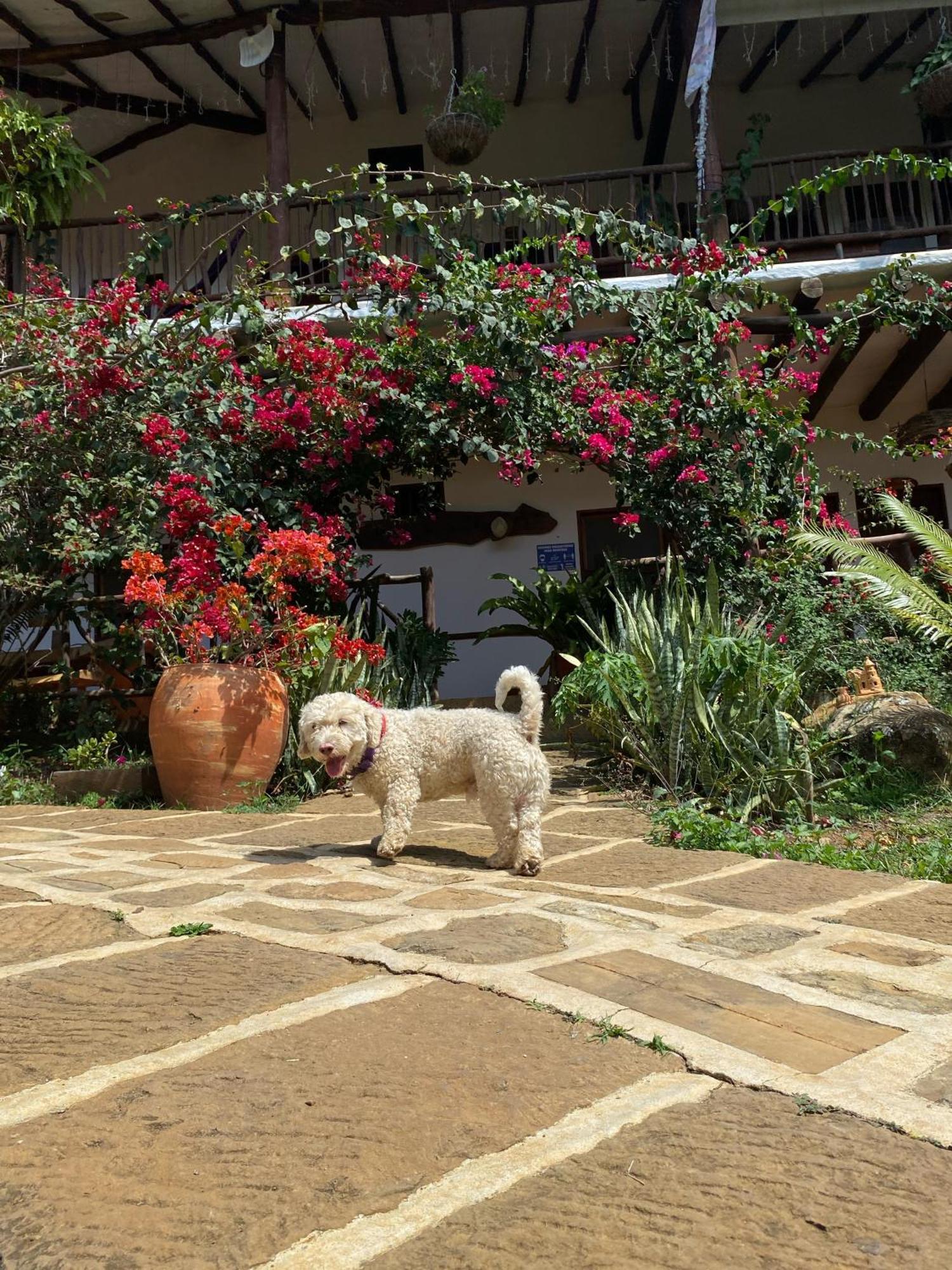 Hostal Villa San Rafael Barichara Exterior photo